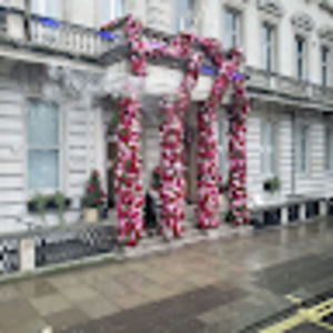 Meet your Posher, Sheba